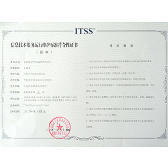 ITSS-信息技术服务标准二级